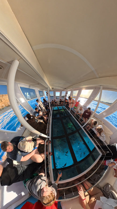 Glass Boat Tour in Sharm El Sheikh
