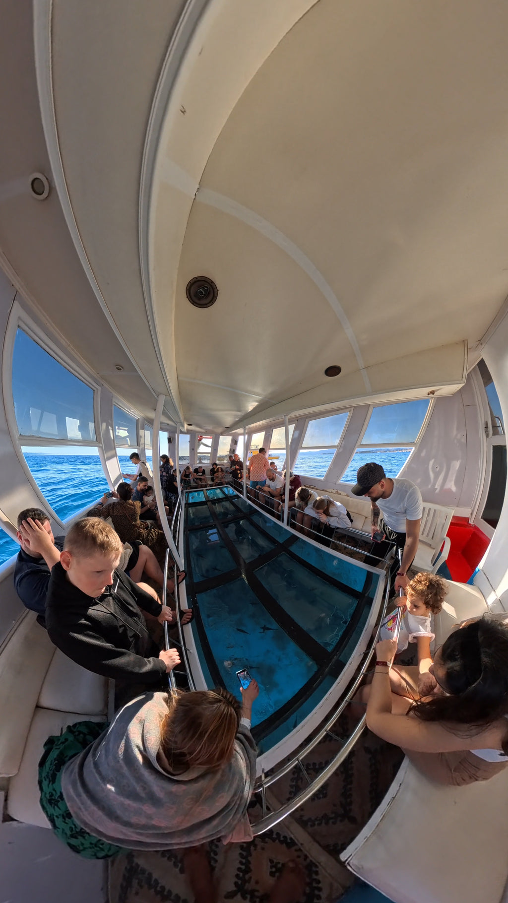 Glass-Bottom Boat Tour – Discover the Red Sea