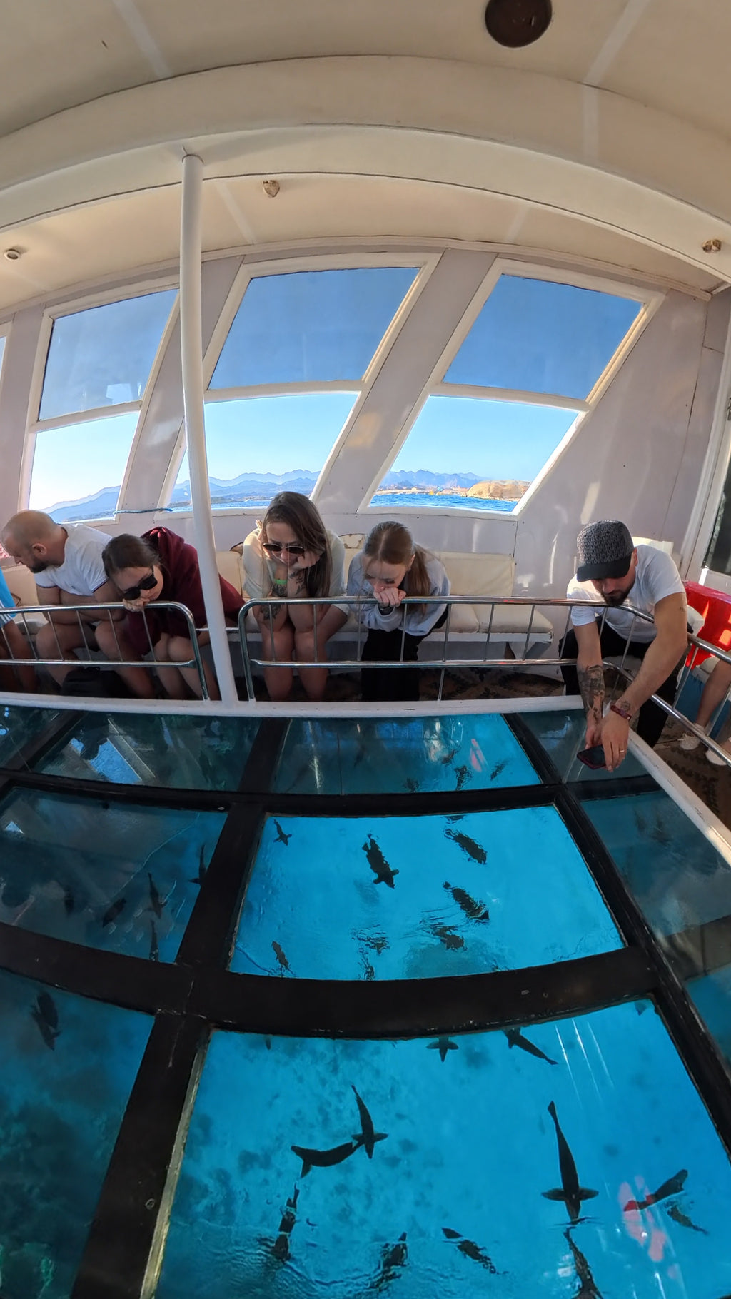 Glass-Bottom Boat Tour – Discover the Red Sea