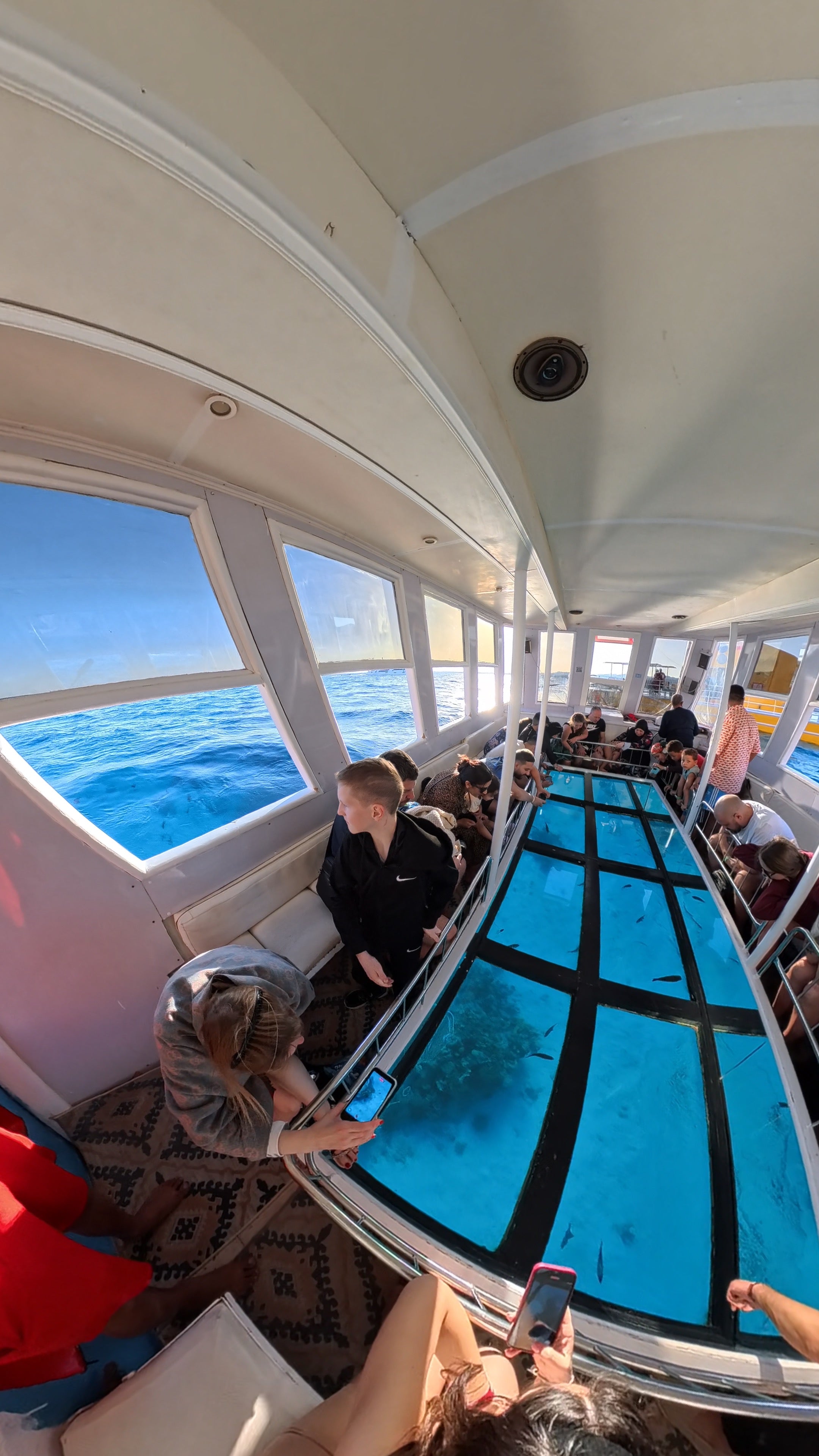 Glass Boat Tour in Sharm El Sheikh